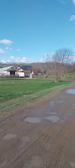 Teren de vanzare - 6