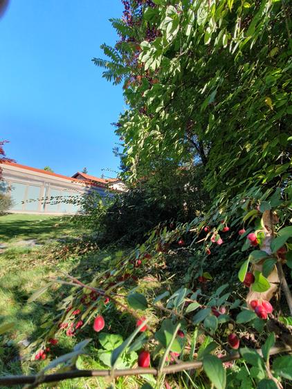 Vila S+P+1+M 650mp Paradisul Verde libera Vezi VIDEO - 9