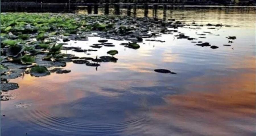 Teren Snagov (aproape de lac) - 6