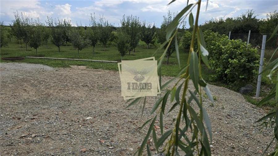 Teren intravilan 666 mp | Daia – Rosia | 2 deschideri | livada + vie - 1