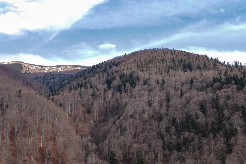 Sinaia, Platou Izvor, Apartament Cu 3 Camere Si 2 Bai! - 2