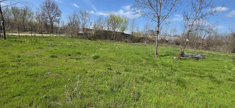 Casă cu Teren 1550 Mp în Ștorobăneasa
