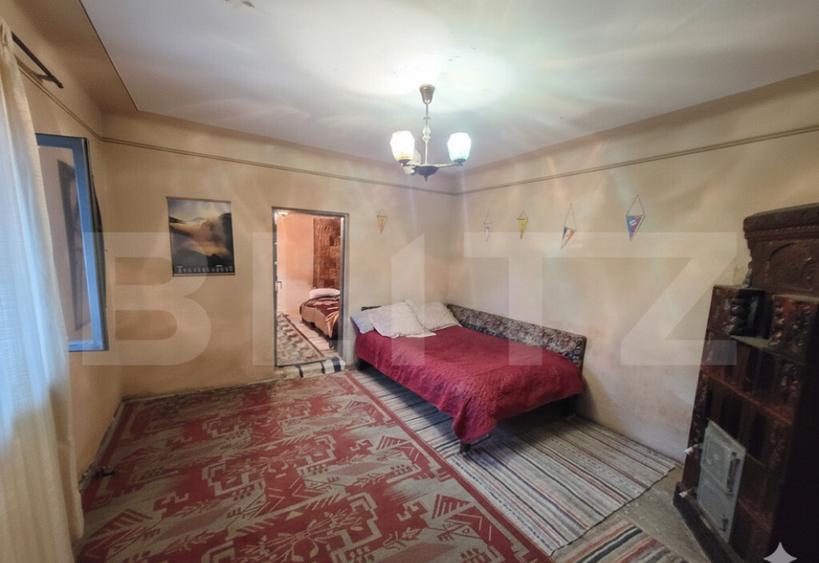 Gospodarie Completa, 130 mp, 1.300 mp Teren, zona Doice?t - 9