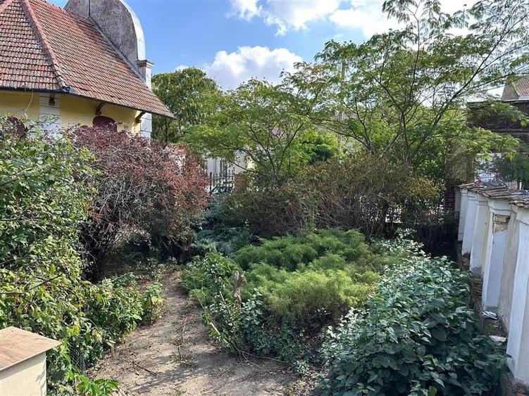 Conac Unicat Timis - 20