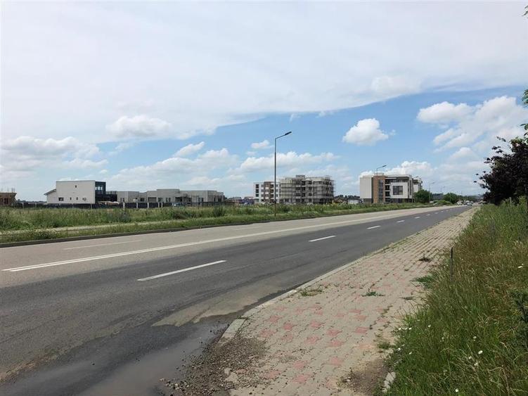 Loturi de vanzare in Focsani - Livada - intravilan - 10