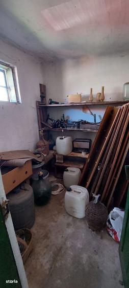 Gospodarie / Zona Francesti / Valcea / - 5