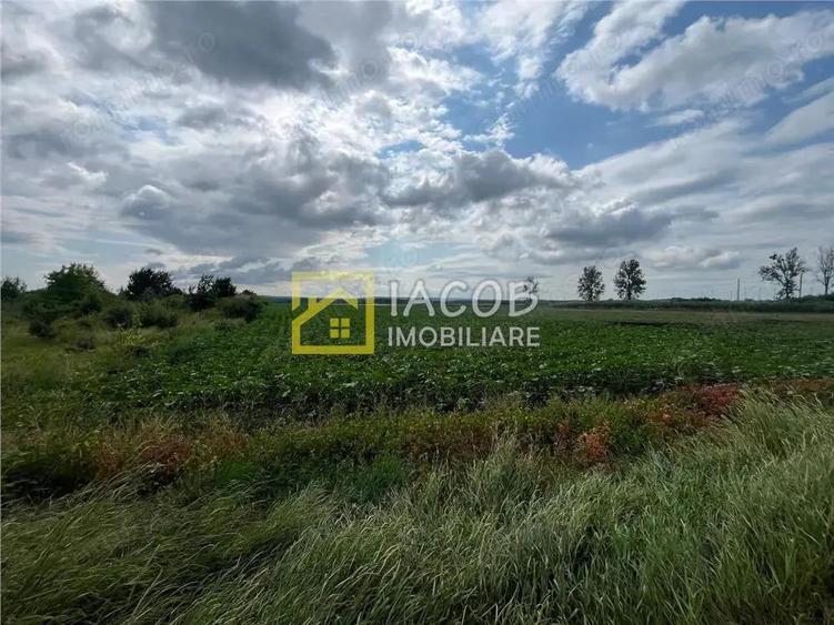 Teren intravilan, 8333 mp, la E85, comuna Secuienii Noi, jud. Neamt - 6