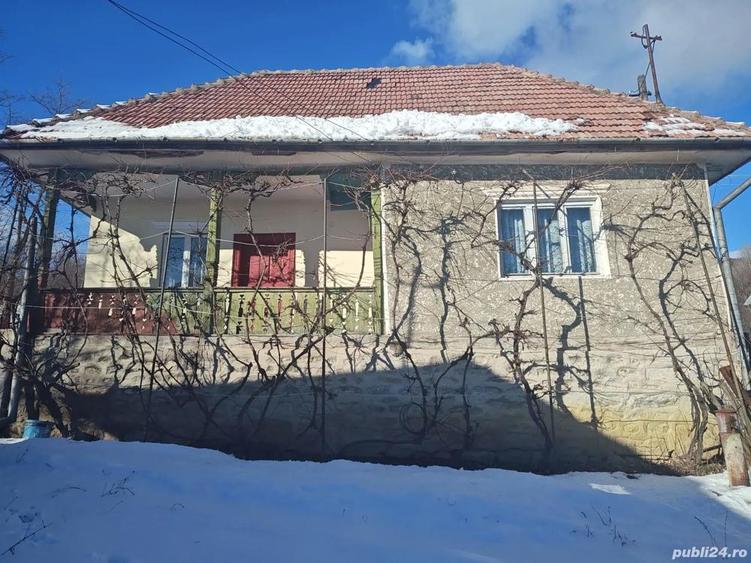 Teren + Casa Batraneasca Sat Serbanesti Salatrucel - 5