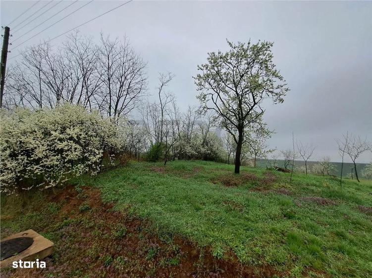 RECO teren Ghenetea - 2