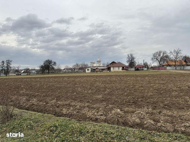 Teren intravilan in Mitocasi - 10