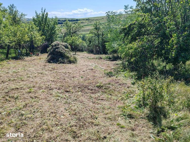 De vanzare teren intravilan in Mera - 3