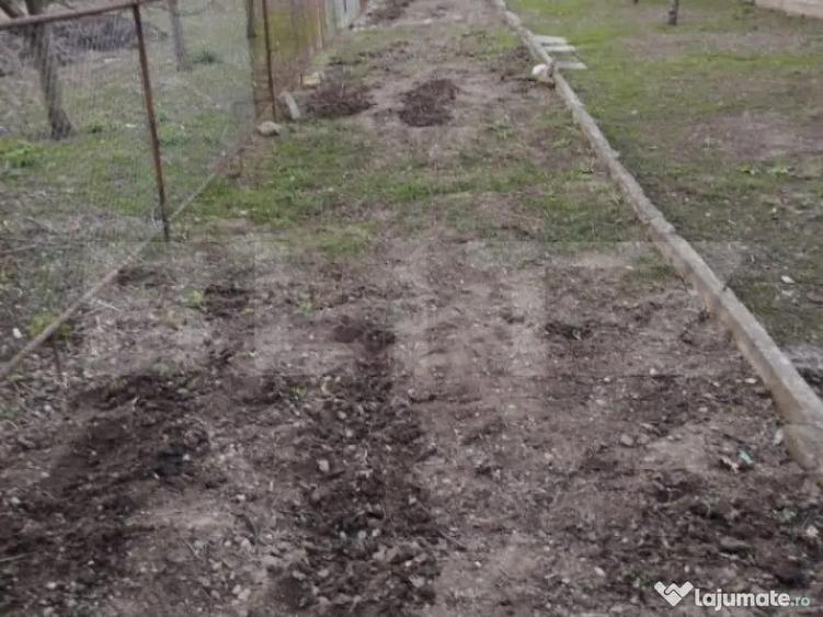 Apartament 3 camere cu gradina in Mihai Viteazu - 2