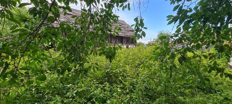 Teren (2025mp) -Deschidere 35mL - Intravilan (Toate utilitățile) - 9