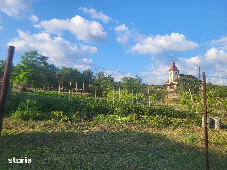 Casa cu gradina satul Asinip, jud Alba 40.000, direct la proprietar - 5