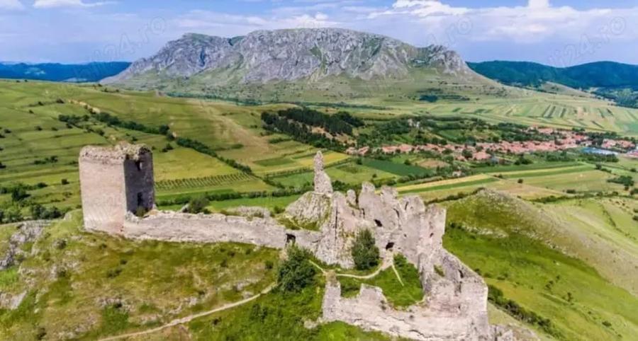 Teren de 6000 mp, în Colțești