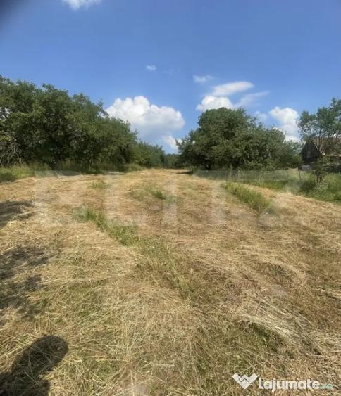 Teren de 3200 mp, în Central