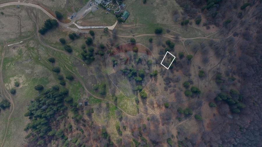Teren Construcții intravilan de 1000 mp, în Poiana Brașov