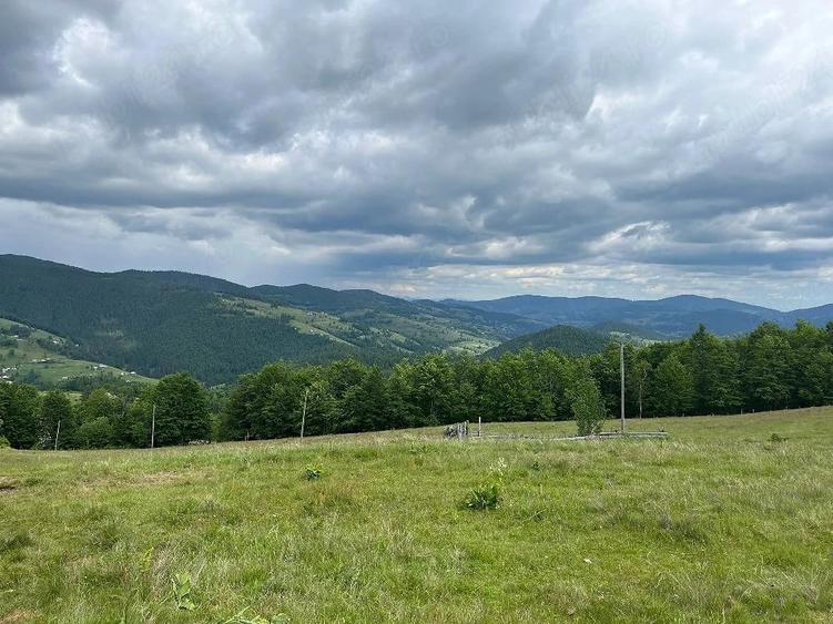 Teren de 15000 mp, în Bubești