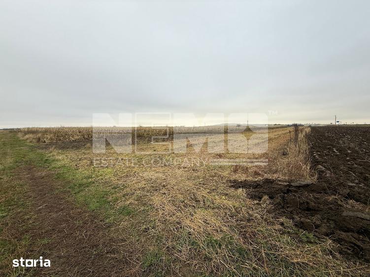 Parcela teren agricol 50 Ari - 6