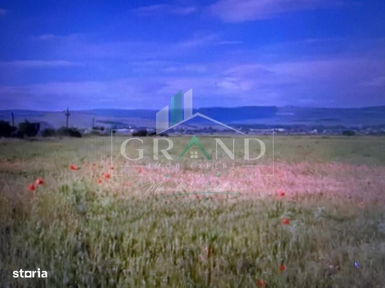 Teren extravilan, suprafata 9100mp, zona Sub Coasta, Cluj-Napoca - 1