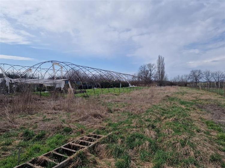 Casă cu 2 camere cu Teren 1114 Mp în Borș
