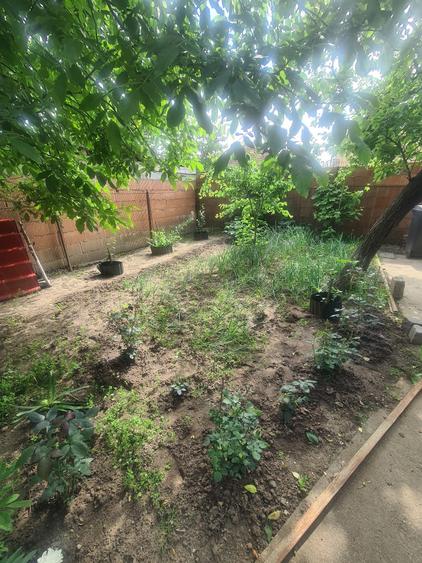 Casa  solida si locuibila 4 camere  Rudolf Walter - 3