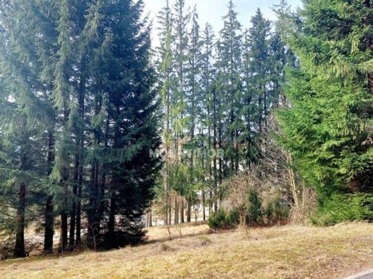 Teren intravilan în Poiana Brașov, strada Poiana Ruia - 6