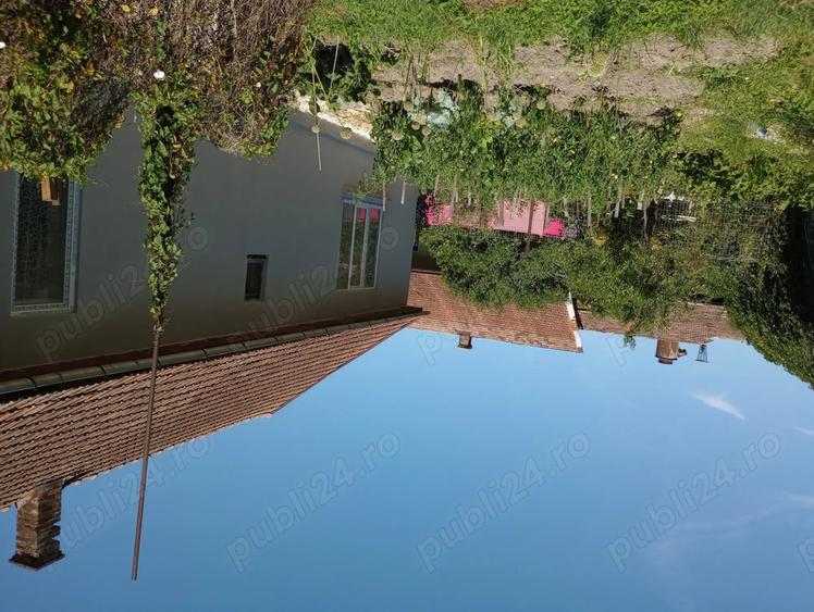 Vand casa dominanta - 12