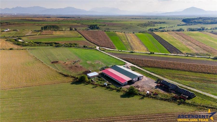 FILM! 18.000 mp,extravilan,agricol+constructii, recomandat:ferma,investitii agricole,Rotbav,Brasov - 6