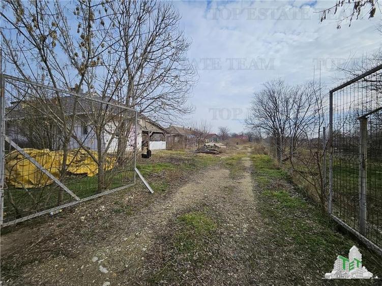 Teren intravilan Harsova - 6