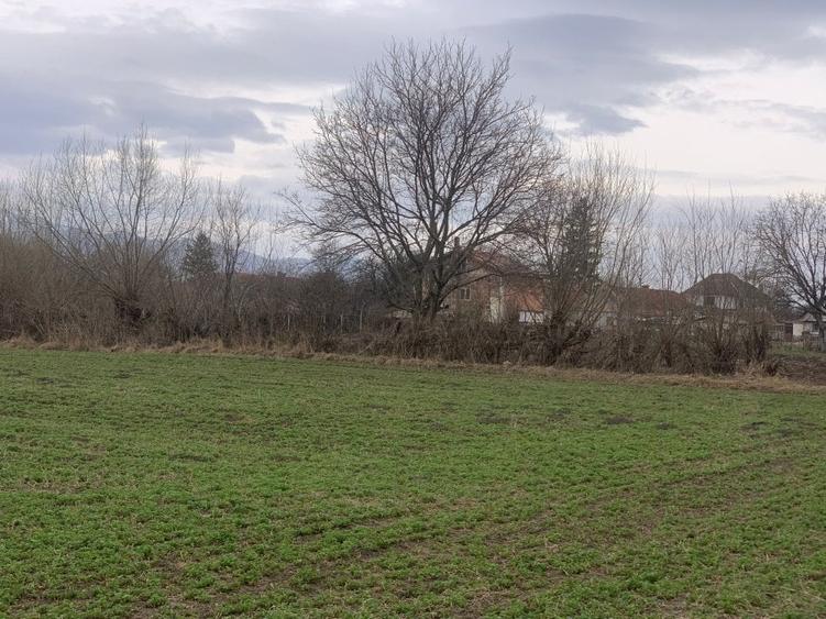 Teren de vanzare Stupini - 2