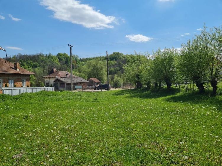 Teren intravilan de vanzare - 5