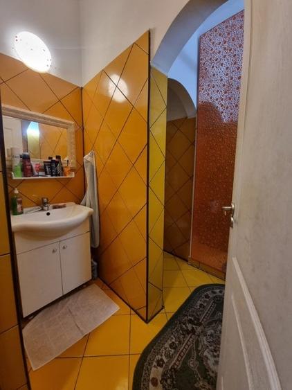 Vilă individuală - Vasile Lascăr - Dacia - 255mp utili - 33