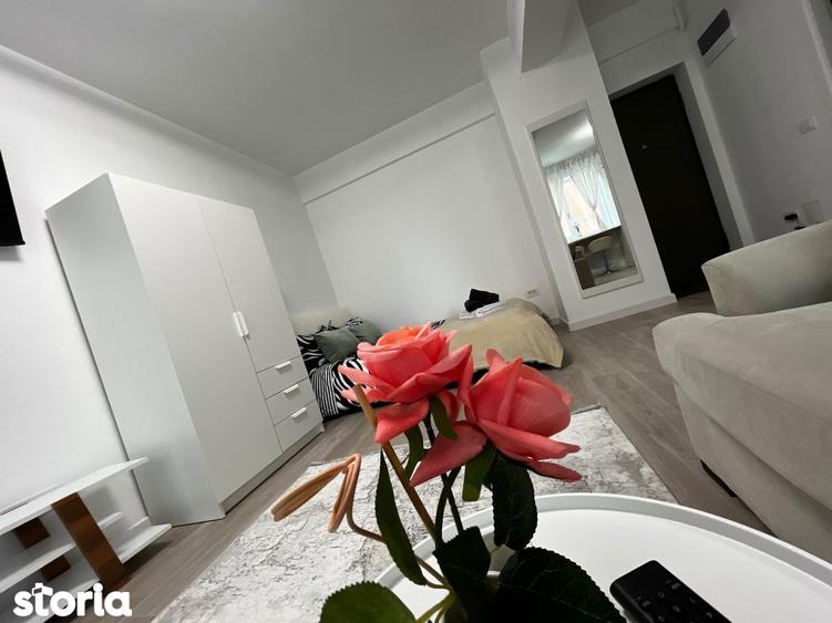 Apartament de inchiriat, o camera, Open space, 35 mp, Lunca Cetatuii - 16