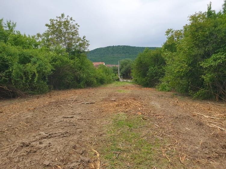 Turnu Rosu | 1.800 MP | Teren Intravilan - 3