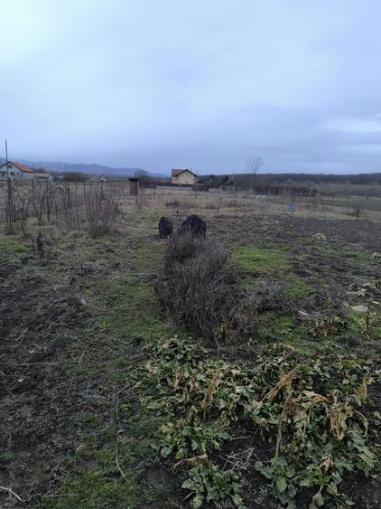 Teren Calea Cisnadiei, langa Amso - 3