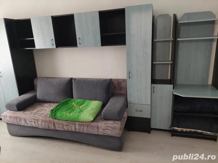 Apartament Buzias - 3