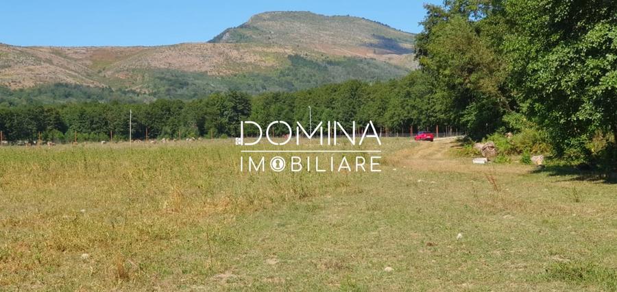 Inchiriere loturi de teren in Comuna Runcu – sat Sanatesti - 6