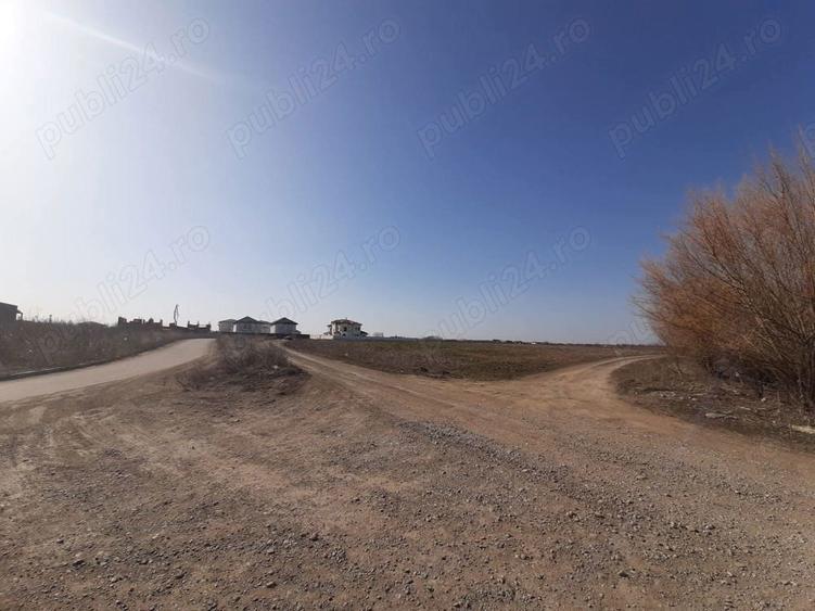 Teren de vanzare 4506mp str.Mierlei Tunari Ilfov - 3