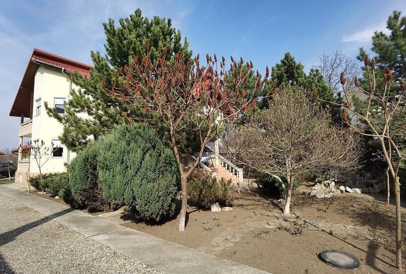 Vila Individuala de Inchiriat in zona Pipera - 20