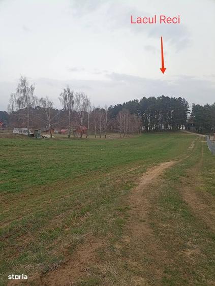 De vanzare teren intravilan in Lacul Reci - 2