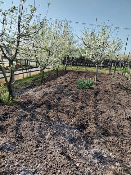 Vand casa ( teren 2.000 mp) in sat Pietrele, jud. Giurgiu - 9