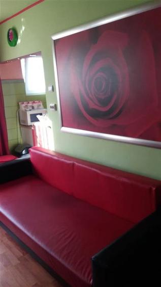 Garsoniera Spatioasa cu Centrala Noul Mall - 3