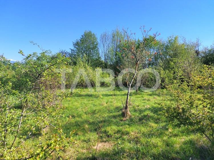 Teren intravilan 4280 mp acces la drum si utilitati zona deosebita - 7