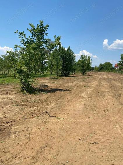 Vanzare Teren Blejoi - Prahova - 5