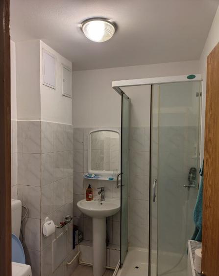 Apartament 3 cam,2 bai,ct+ac,1986 reab,Colentina-Parc Plumbuita - 3