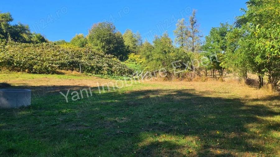 Teren de vanzare in comuna Baicule?ti, sat Tutana, jude? Arge?. - 5