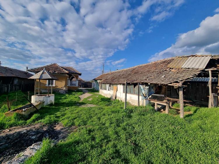 Vand Casa la tara - 1