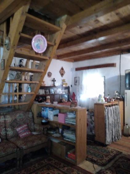Casa de vacanta izvorul rece balta Mara cabana vanatorului - 1