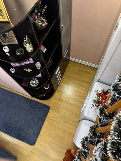 Garsoniera Cocheta - 2